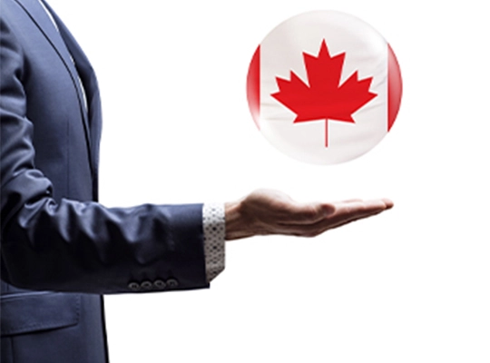 Benefits of Hiring an Immigration Lawyer in Canada